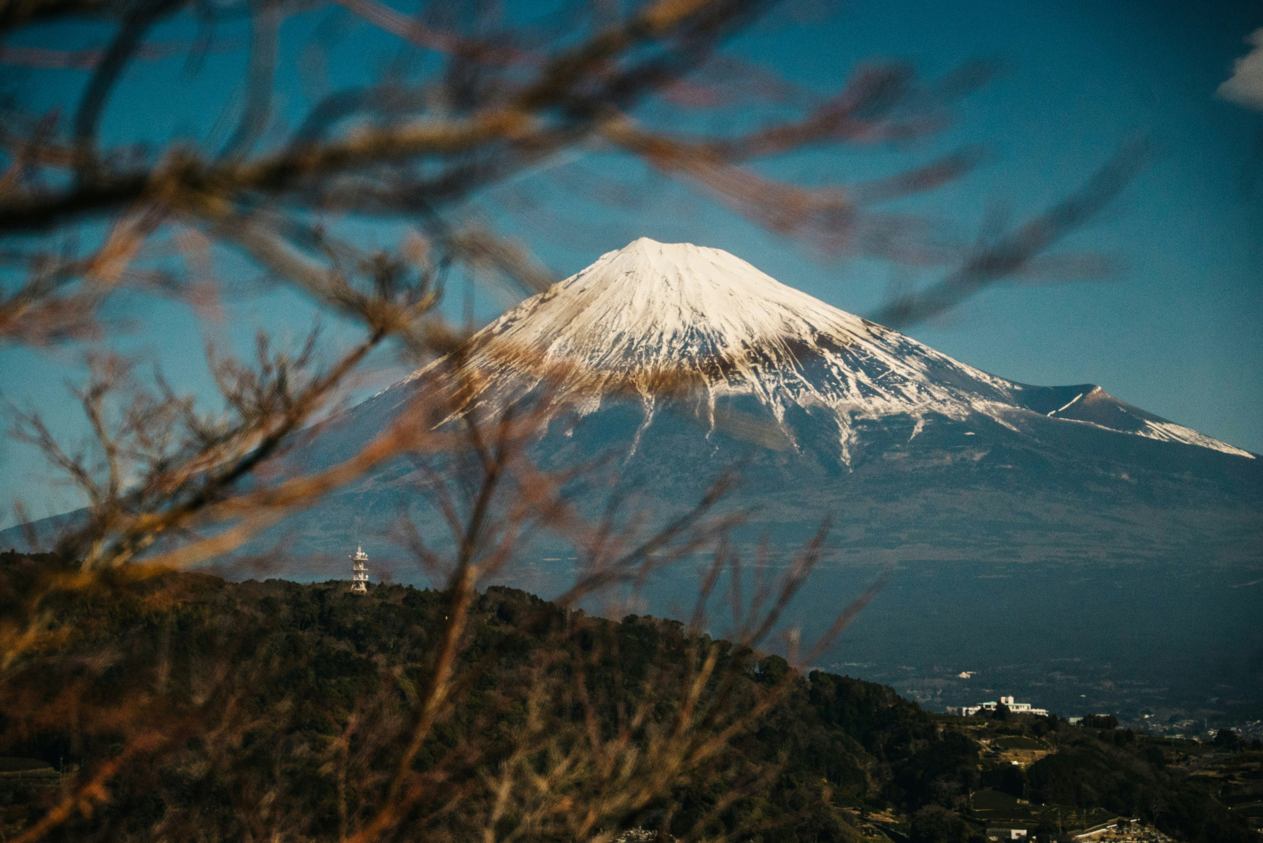 selective focus photography of Mt. Fuji